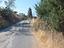 Immagine 10