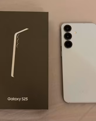 Samsung Galaxy S25