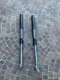 Piastre e forcelle lippolis ad olio per gruppo ktm