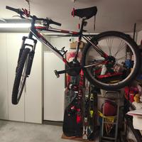 Mountain Bike Stella Veneta 