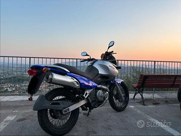 Suzuki Freewind  XF 650