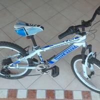 Bicicletta Stella Veneta 20 Pollici