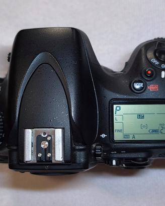  Nikon d800 