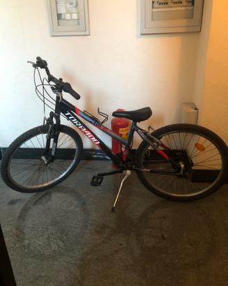 Bici da ragazzo