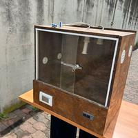 Terrario rettili  60x40x40