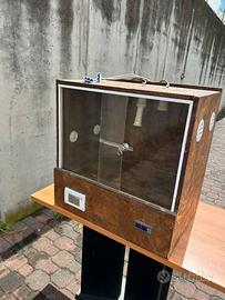 Terrario rettili  60x40x40