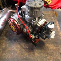 motore kart tm r1 red titan