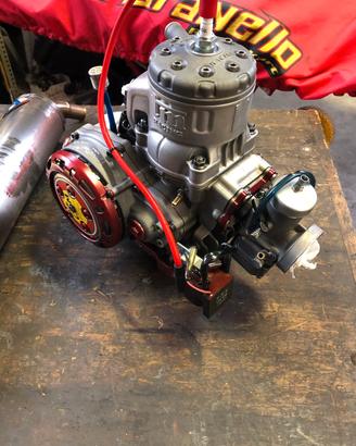 motore kart tm r1 red titan
