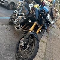 Tiger Triumph 1200 rally explorer