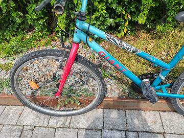 MTB ragazzo Giant