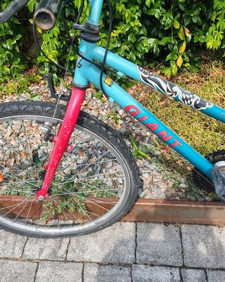 MTB ragazzo Giant