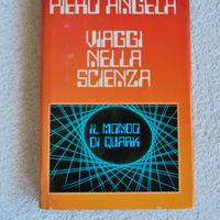 LIBRO "VIAGGI NELLA SCIENZA"IL MONDO DI QUARK 1991