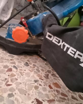 sega circolare dexter