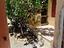 Immagine 22