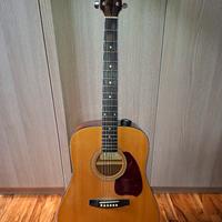 Chitarra acustica Ibanez PF5NT