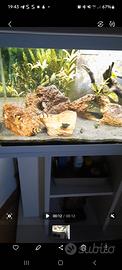 acquario con filtro interno 60 lt con mobile 