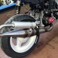 Pinasco pws minarelli