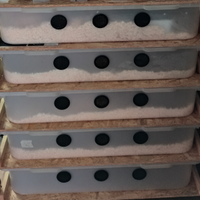 Vasche per rack
