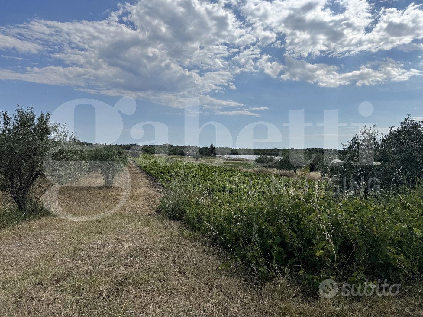 Terreno Agricolo Noto [Cod. rif 3321587VCG] - Vista 4