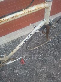 Colnago master 