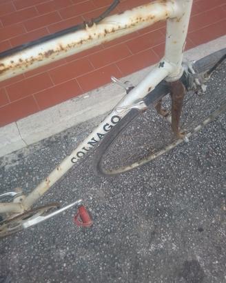 Colnago master 