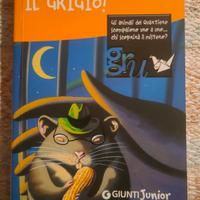 libro mi hanno rapito il grigio! Luca Cognolato 