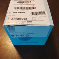 Termostato motore Blue Print