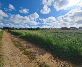 Terreno Agricolo Anzio [Via SaturnoVCG]