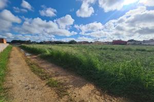 Terreno Agricolo Anzio [Via SaturnoVCG]