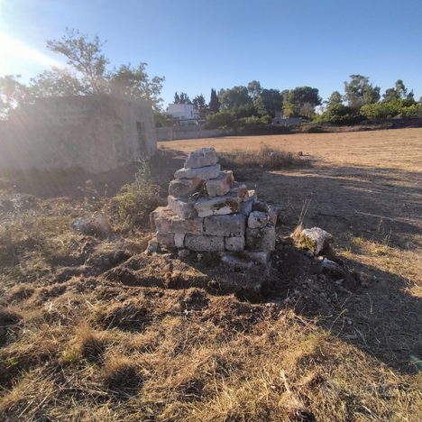 Terreno agricolo