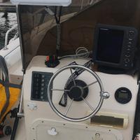 Lowrance elite fs9