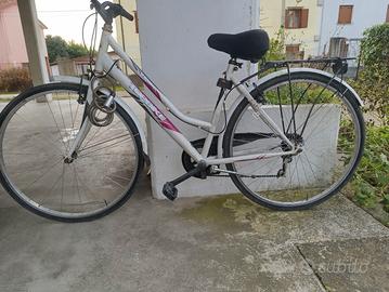 bicicletta