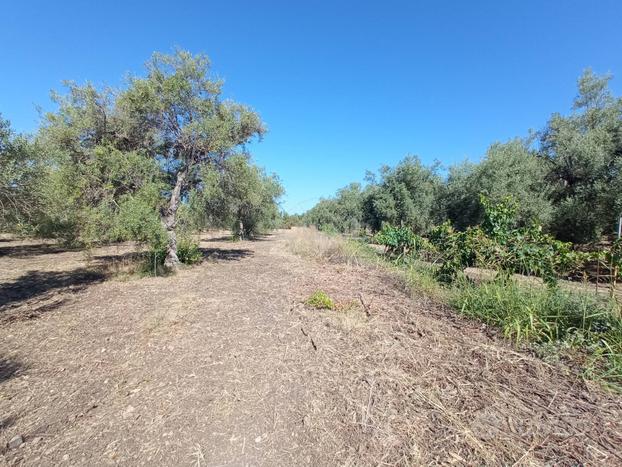 Terreno Agricolo - Siracusa