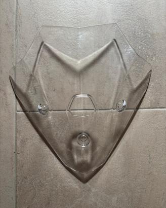 Cupolino alto BMW F900R