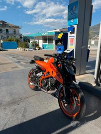 Duke 390 2024