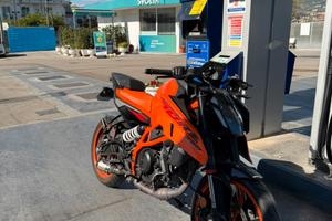Duke 390 2024