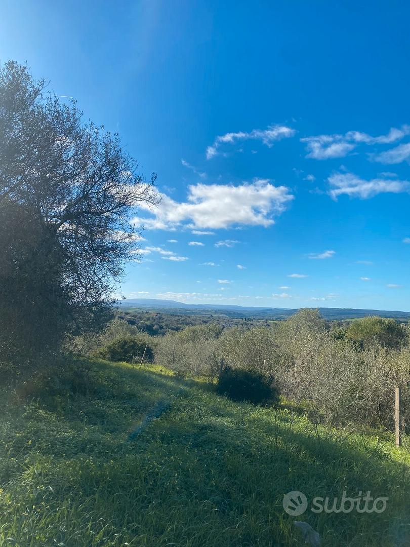 Immediata periferia Antico Podere con uliveto - Vista 5