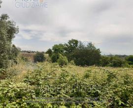 Terreno Agricolo Genzano di Roma [A4314017]