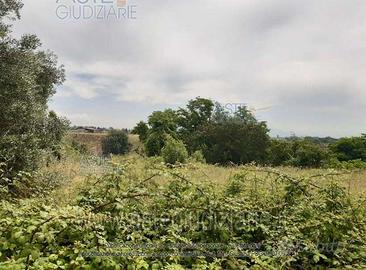 Terreno Agricolo Genzano di Roma [A4314017]