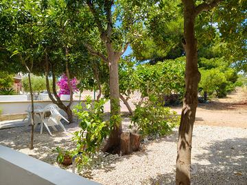 CasaVacanze in SALENTO ultime per SETTEMBRE