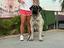 Immagine 5