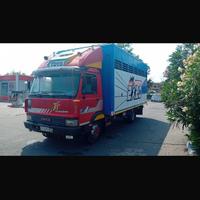 Iveco 79. 14 Trasporto Animali vivi
