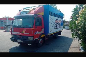 Iveco 79. 14 Trasporto Animali vivi