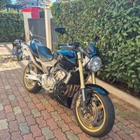 Honda hornet 600 2006