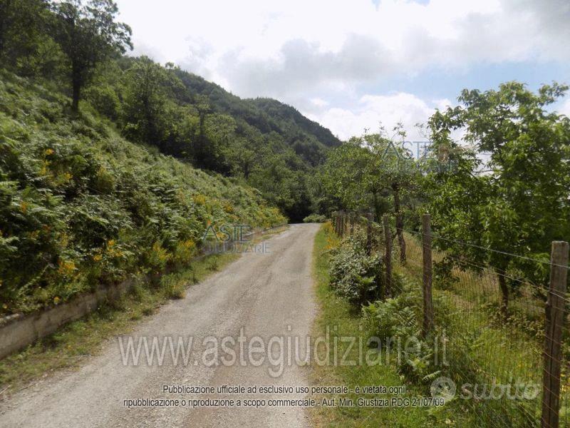 Terreno Agricolo Giffoni Valle Piana [A4333107] - Vista 4