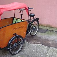 Cargo bike Babboe Big Muscolare con tenda-cuscini