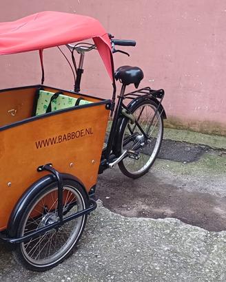 Cargo bike Babboe Big Muscolare con tenda-cuscini