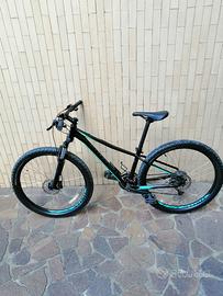 Bici mtb in alluminio specialized