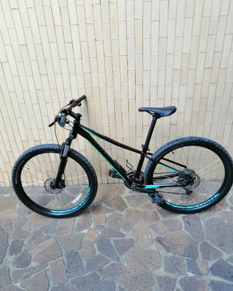 Bici mtb in alluminio specialized