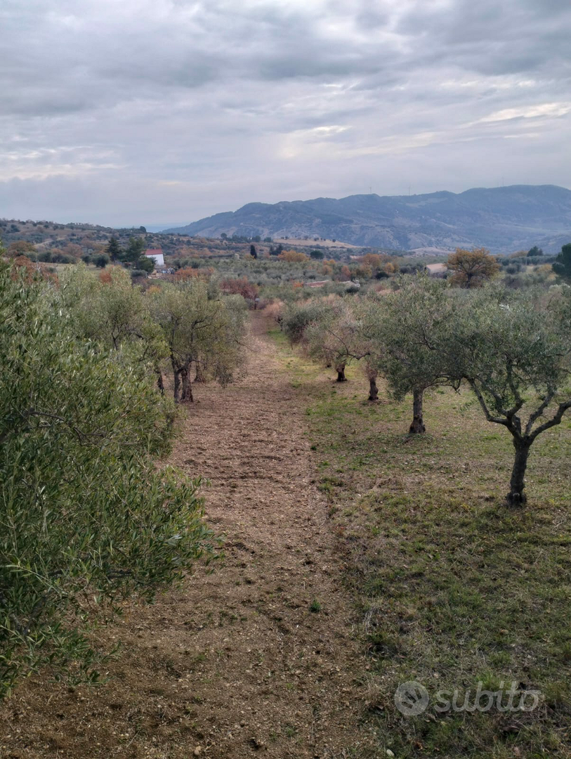 Casa di campagna - Vista 3